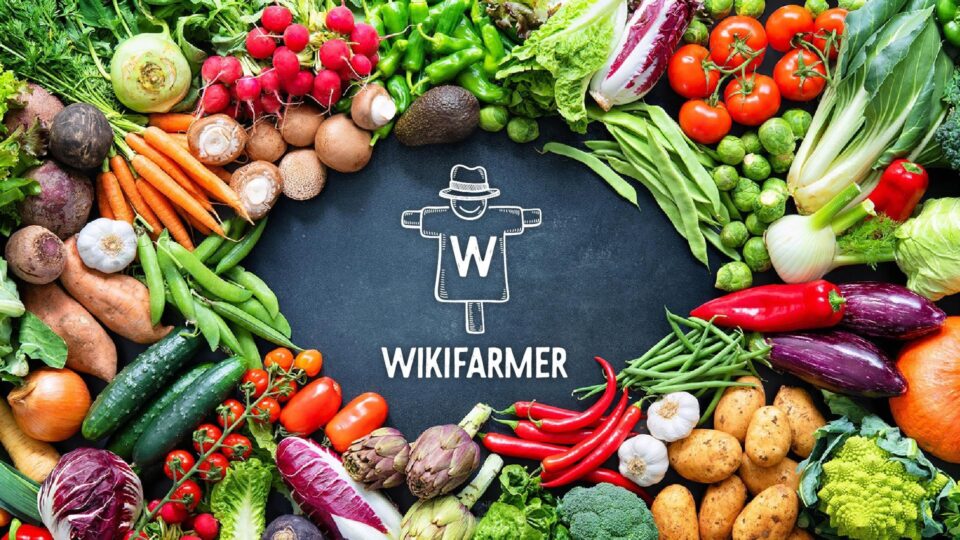 Wikifarmer: Οι top αναζητήσεις αγροτικών προϊόντων στην Ελλάδα για το 2020
