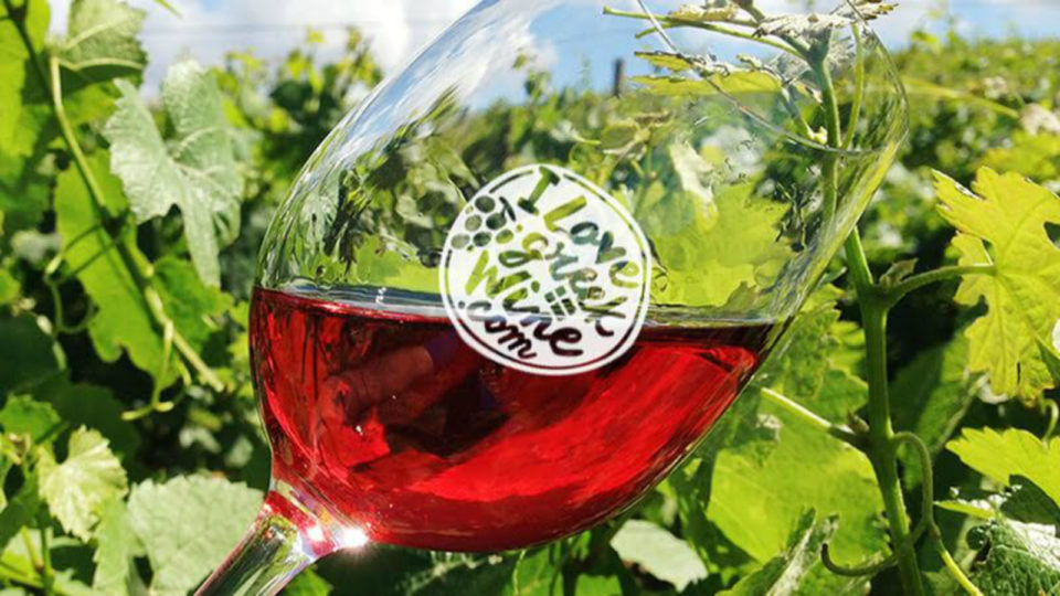 ilovegreekwine.com: Όλα όσα χρειάζεται να ξέρεις για το ελληνικό κρασί!