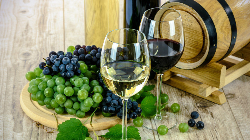 Wine & Currant Marketing Forum: Χτίζοντας ελληνογερμανικές συνεργασίες στον αγροδιατροφικό τομέα