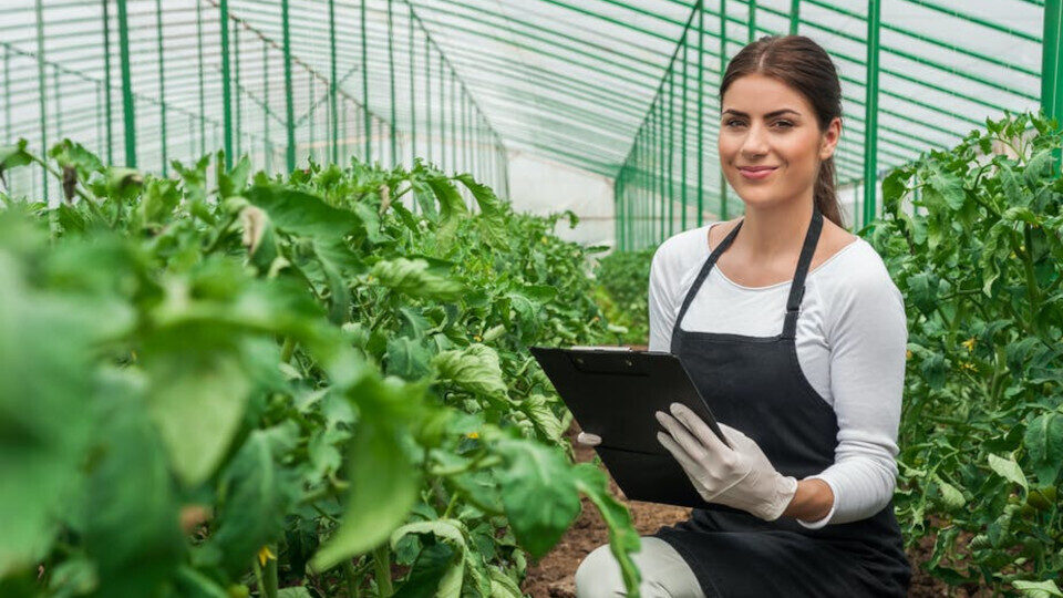 Η Bayer προσκαλεί ερευνητές από όλο τον κόσμο για το νέο πρόγραμμα Testing4Ag