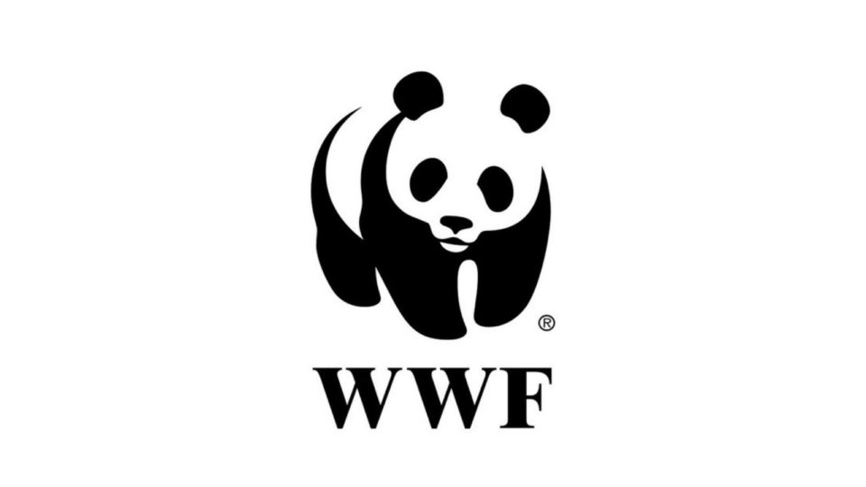 Υπεύθυνος εκστρατείας στην WWF Ελλάς