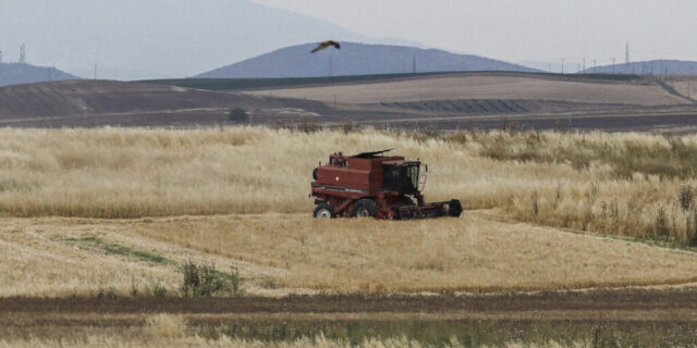 Προϋπολογισμός 135 εκατ. ευρώ για το πρόγραμμα μεταποίησης, εμπορίας & ανάπτυξης γεωργικών προϊόντων