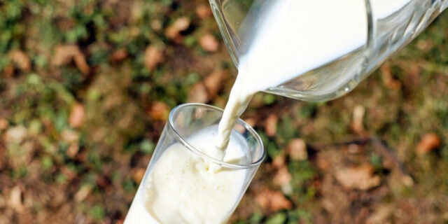 Επ. Αρκαδίας; Αύριο το Θεματικό Εργαστήριο ««Γάλα – Γαλακτοκομικά»