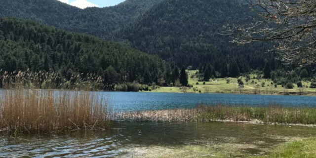 Υβριδική ημερίδα για τις Περιοχές Natura 2000 των Περιφερειών Αττικής και Β. Αιγαίου