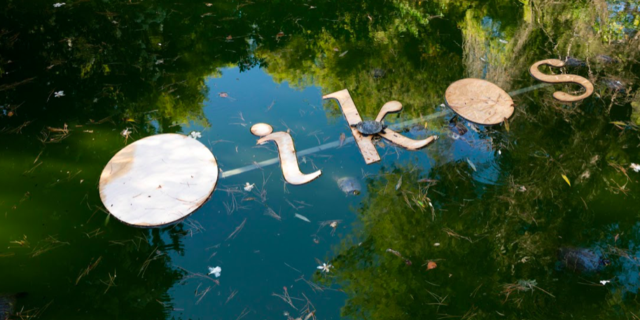 «Κολυμπώντας στο δάσος» της ολοκαίνουργιας έκθεσης στον Βοτανικό Κήπο