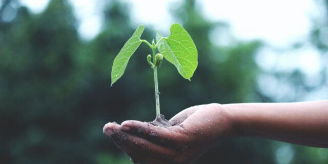 Πρωτοβουλία «75UN – 75 Trees UNAI SDG7» - 3η Τηλε-διάσκεψη της 5ης Απριλίου 2024