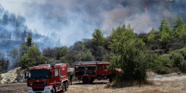 ΒΑ Αττική: Συνεχίζεται η καταγραφή των ζημιών – Πλιάτσικο στα καμένα με 17 προσαγωγές και μια σύλληψη