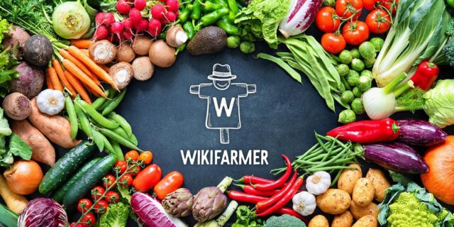 Wikifarmer: «Φρέσκα» κεφάλαια άντλησε η πλατφόρμα που συνδέει αγρότες με επιχειρήσεις