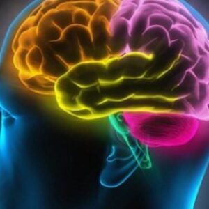 Ανεύρυσμα εγκεφάλου: Οι αιτίες, τα συμπτώματα και η αντιμετώπιση