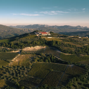 Τα Ελληνικά Οινοποιεία wine sponsor της 29ης Ετήσιας Συζήτησης Στρογγυλής Τραπέζης