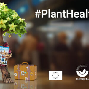 Το ΥΠΑΑΤ στην πανευρωπαϊκή εκστρατεία #PlantHealth4Life για την υγεία των φυτών
