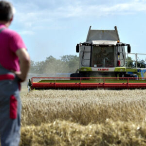 ​ΕΛΣΤΑΤ: Αύξηση 28,7% των εκροών στη γεωργία τον Ιούλιο και μείωση 3% των εισροών
