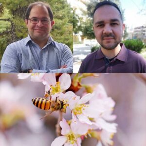 BeeLive: Ένα εργαλείο για μελισσοκόμους που χρησιμοποιεί το σύστημα Galileo