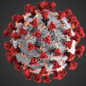 Οι υπολογιστές αποκαλύπτουν 100.000 νέους ιούς σε γενετικά δεδομένα