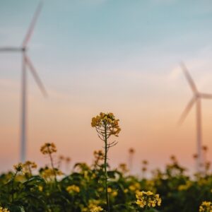 Η Enel Green Power πρωτοπόρος στην προστασία του περιβάλλοντος και στην πράσινη μετάβαση