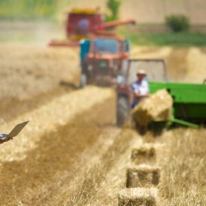 ​ΕΕ: Διαβούλευση σχετικά με το σχέδιο κατευθυντήριων γραμμών για τις συμφωνίες βιωσιμότητας στη γεωργία​