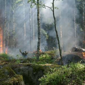 Η ΕΕ κινητοποιεί 370 άτομα άμεσης επέμβασης για την καταπολέμηση των πυρκαγιών