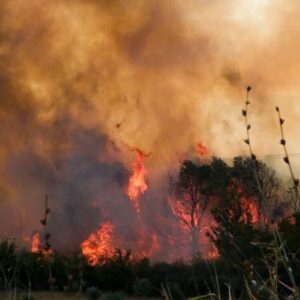 Πυρκαγιές: τη μωρία, ακολουθεί πάντοτε η τιμωρία