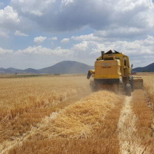 Agrifood Exports 360o: Για 4η χρονιά το πρόγραμμα για τις εξαγωγές αγροδιατροφικών προϊόντων