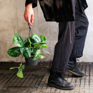 O Vincent Theunissen του "Katais" μας δίνει συμβουλές για τα φυτά στα μπαλκόνια και τις βεράντες μας
