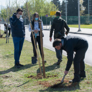 Πρωτοβουλία «75UN – 75 Trees UNAI SDG7»: Με τη συμμετοχή 44 δήμων η 1η Τηλε-διάσκεψη