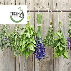 Messinian Hub: Η Ελληνική εταιρεία που διαπρέπει στο τομέα των Αρωματικών & Φαρμακευτικών Φυτών