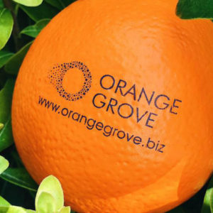 Έρχεται η 11η έκδοση του The Squeeze από το Orange Grove για να αναδείξει 2 φιλόδοξους επιχειρηματίες