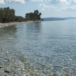 Όμιλος Σαράντη: Οργάνωσε εθελοντικό καθαρισμό της παραλίας Γλύφα στο Πήλιο
