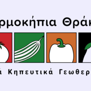 Θερμοκήπια Θράκης: Νέες επενδύσεις 14,5 εκατ. ευρώ για τη διετία 2024-2026