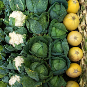 8ο Ελληνογερμανικό Φόρουμ Τροφίμων: Αειφορία – Εξωστρέφεια, “καλλιεργούν” ανάπτυξη για τα γεωργικά προϊόντα
