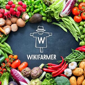 Wikifarmer: «Φρέσκα» κεφάλαια άντλησε η πλατφόρμα που συνδέει αγρότες με επιχειρήσεις