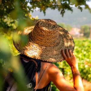 Wine Tourism Greece: O οινοτουρισμός της Ελλάδας σε μία πλατφόρμα