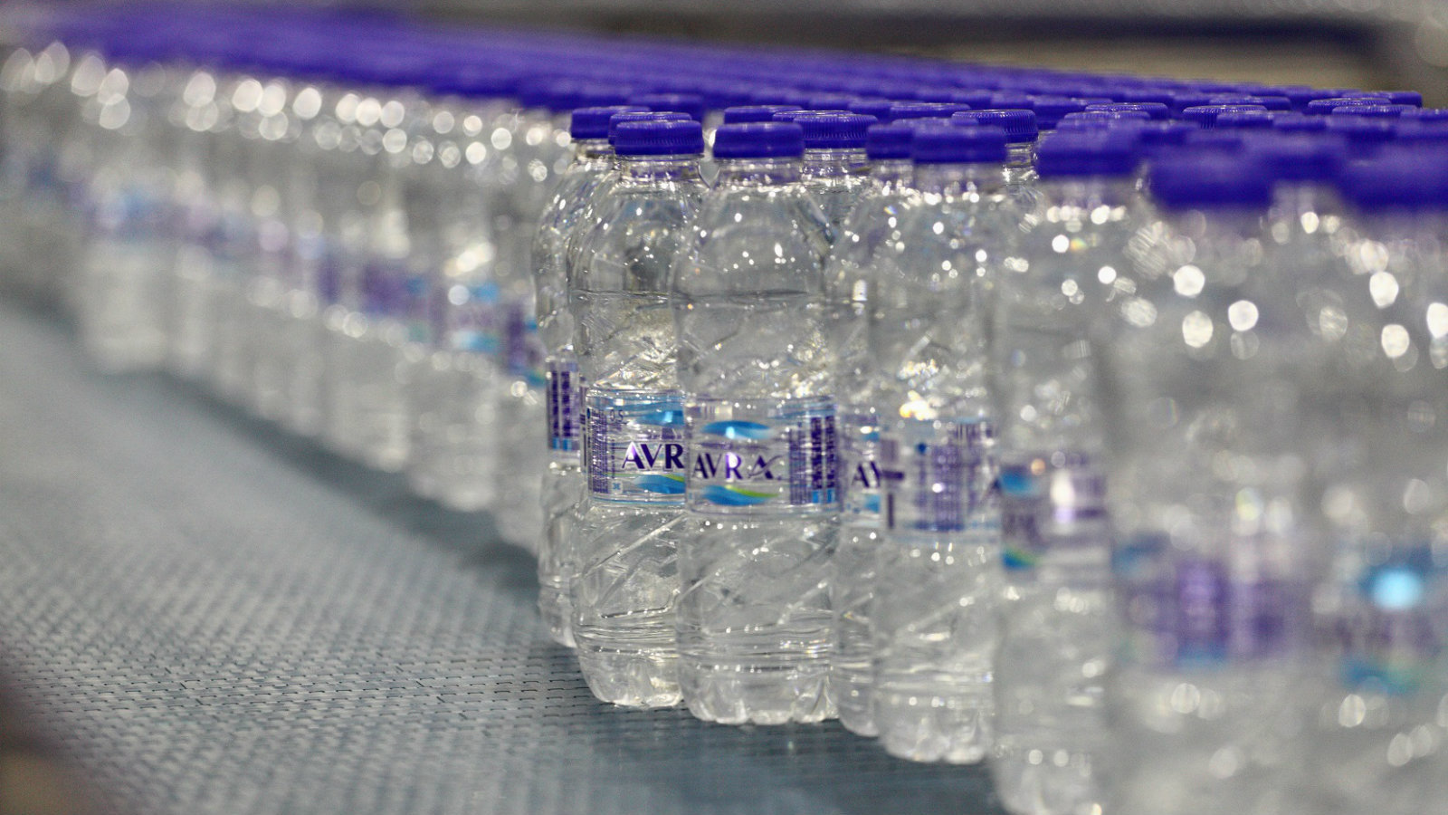 ayra_k.JPG?mtime=20171108155209#asset:68098