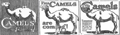 camels_m1.jpg?mtime=20170914120039#asset:61928