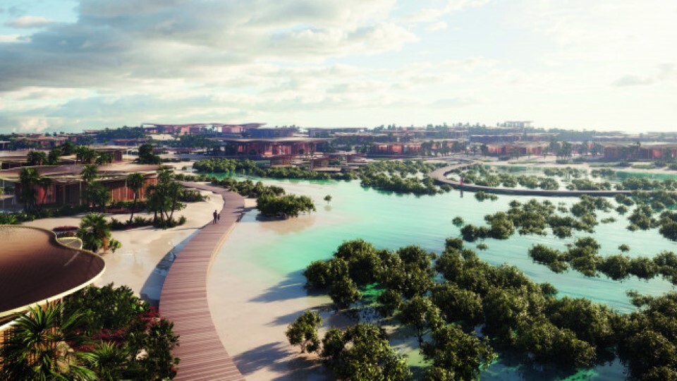 coral-bloom-4_resize_md_new.jpg?mtime=20210216105859#asset:245856