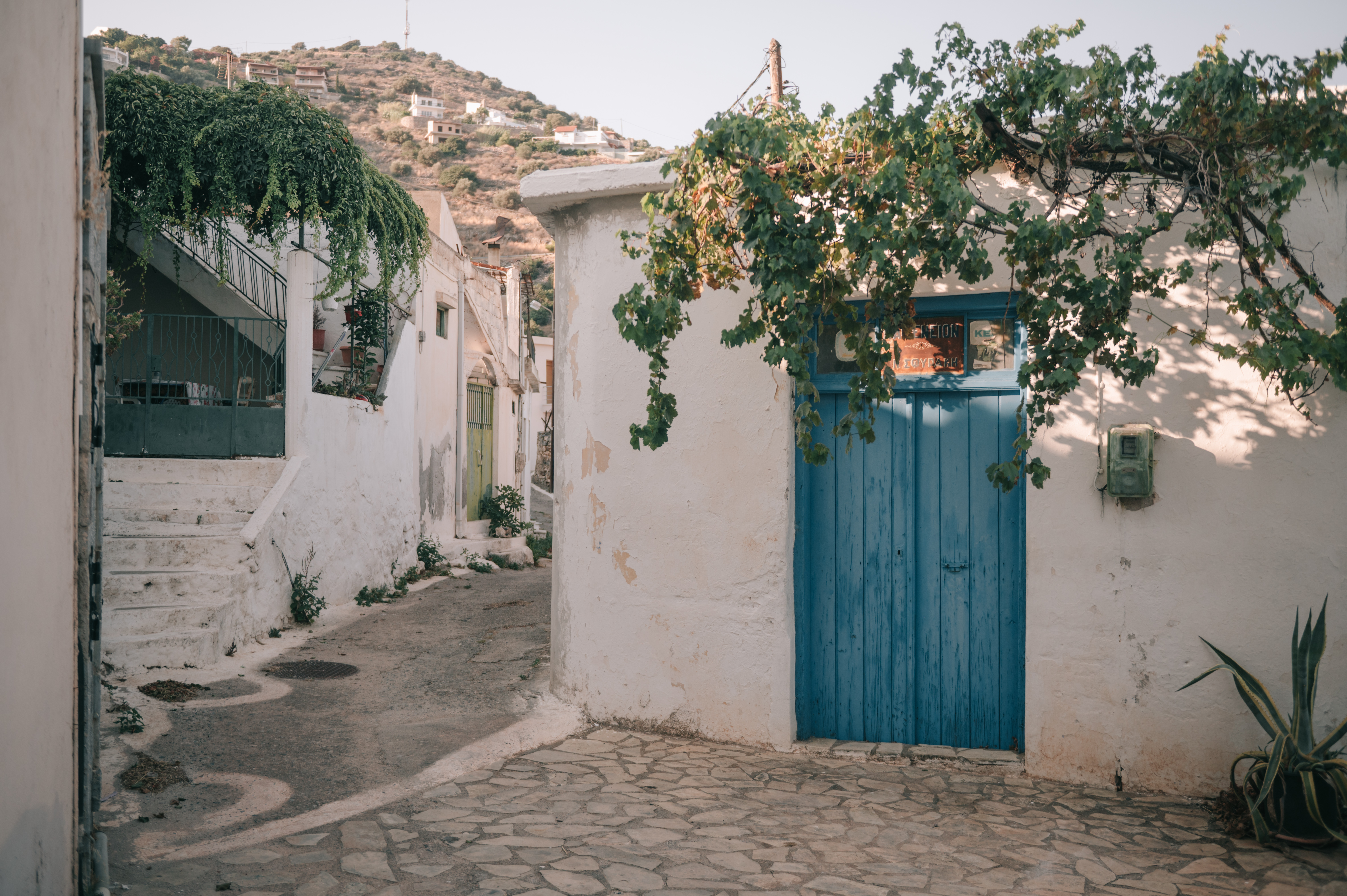 crete4.JPG?mtime=20230928165521#asset:436661