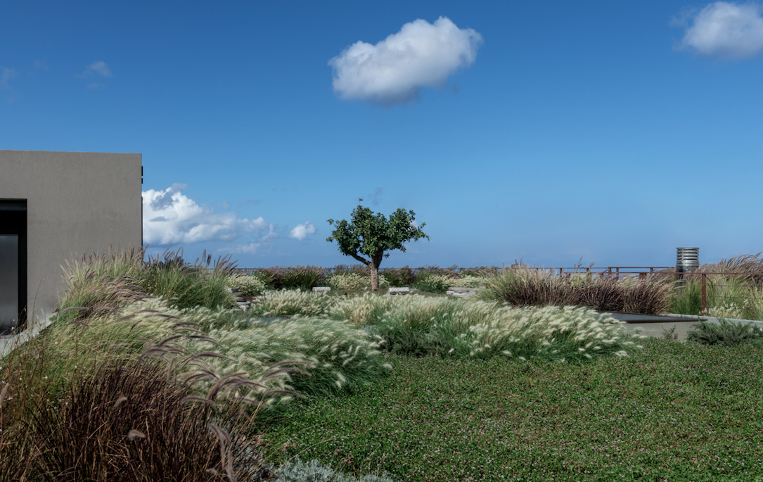 ftelos-santorii.jpg?mtime=20250926143305#asset:566640