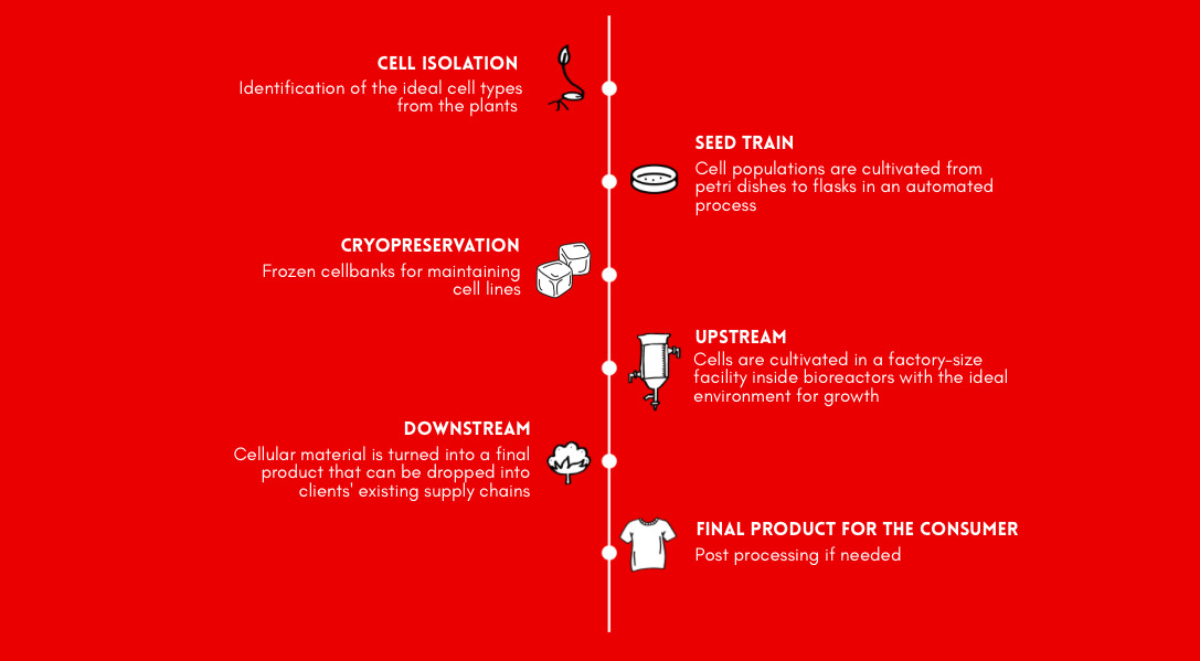 galys-production-procedure.jpg?mtime=20241031151641#asset:509381