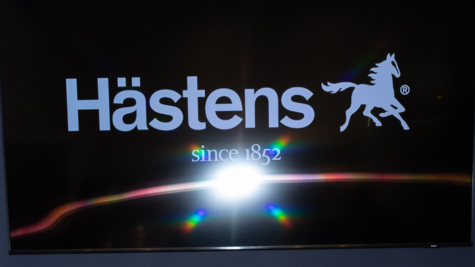 hastens_logo.jpg?mtime=20231030154450#asset:442797