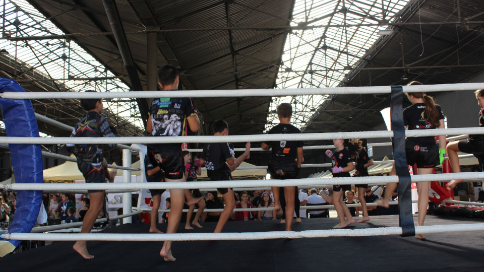 hobby_festival_2022_2.jpg?mtime=20221103125741#asset:381434