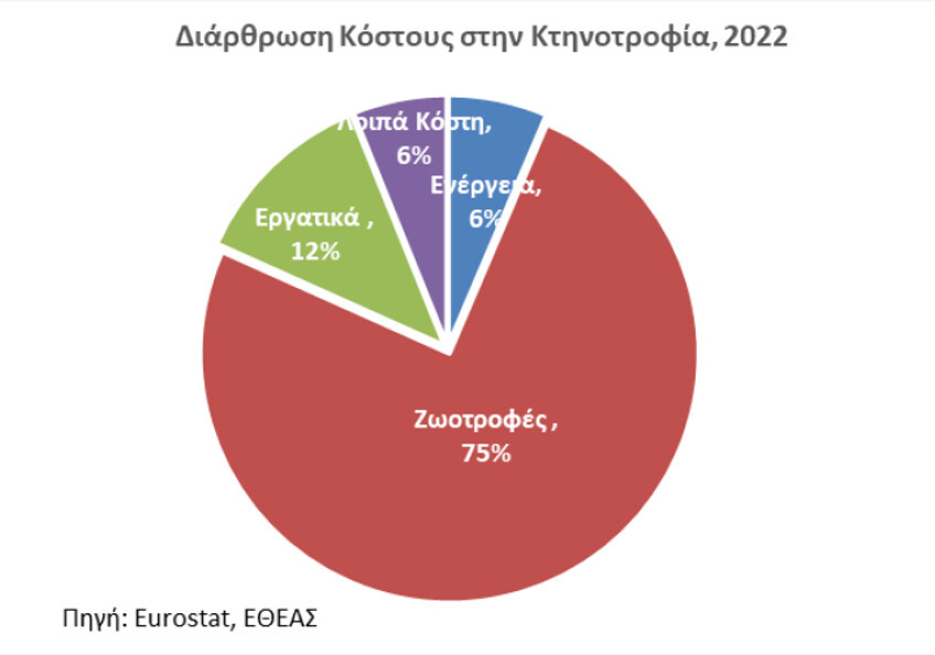 ktinot_1.jpg?mtime=20240709121118#asset:489722