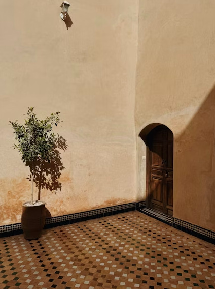 lemonia-1.jpg?mtime=20251029172707#asset:571280