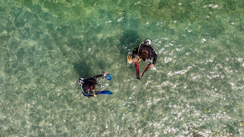 lidl-neokeimeno3.jpg?mtime=20220608165914#asset:353468