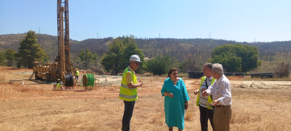 mendoni_tatoi_1.jpg?mtime=20230808165929#asset:429606