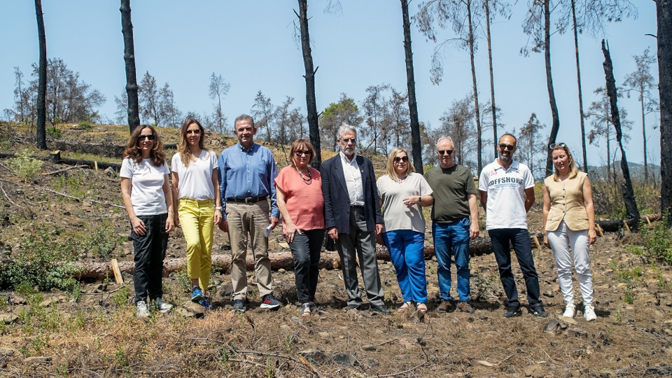 nova_rodos_2.jpg?mtime=20240619130448#asset:486323