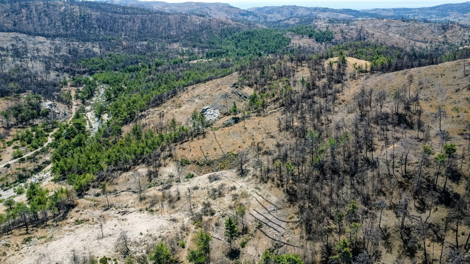 nova_rodos_3.jpg?mtime=20240619130503#asset:486324