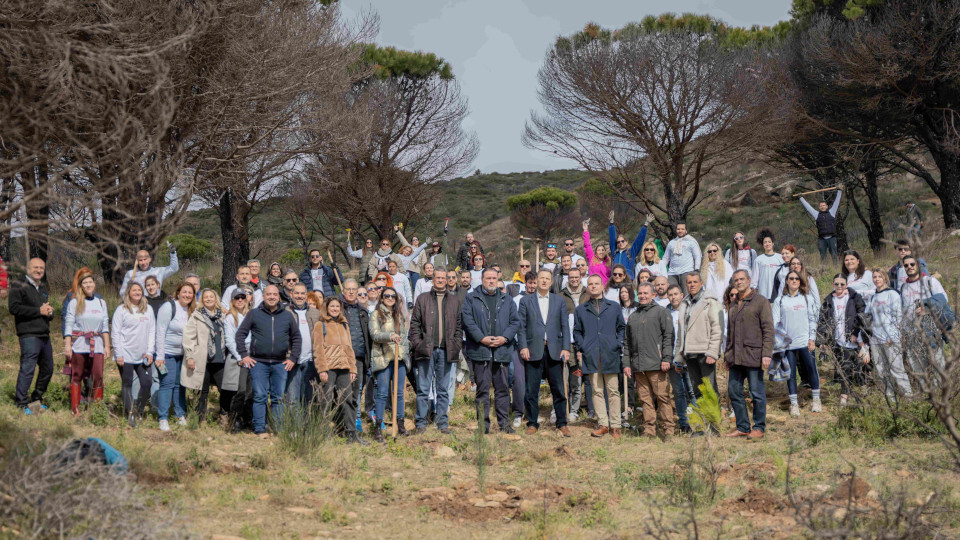 papastratos_anadasosi_240307_104729.jpg?mtime=20240307104728#asset:465882