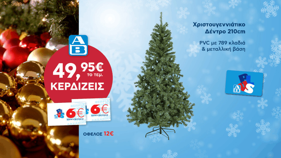 ΑΒ-XMAS-PROMO-DENTRO.jpg?mtime=20231124163508#asset:447999