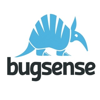 Ένα ελληνικό Startup στις Η.Π.Α. - Bugsense