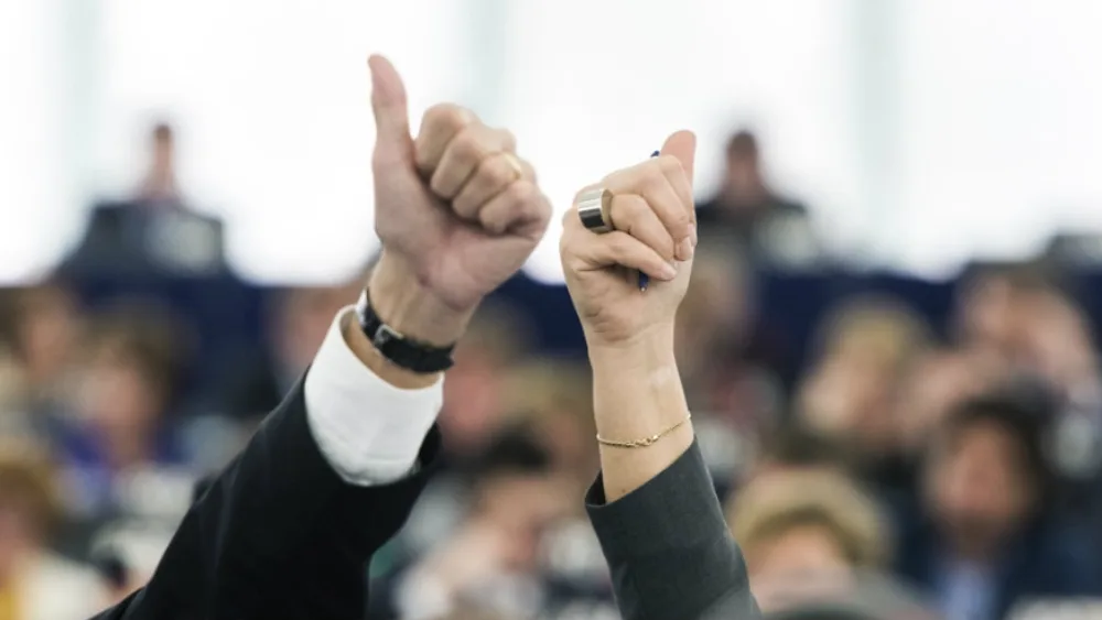 Εισηγητές, "σκιώδεις" εισηγητές, συντονιστές... Ποιοί είναι οι ρόλοι των ευρωβουλευτών;